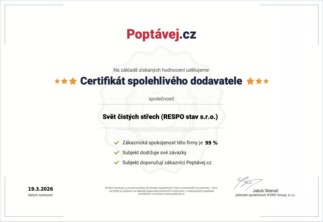 Střecha před čištěním